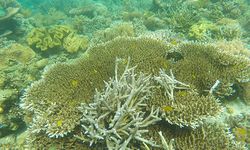 Indonesia Bakal Pastikan Realisasi Komitmen Kelautan Dunia