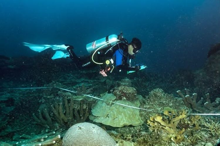 162.000 Hektare Laut di Papua Resmi Ditetapkan sebagai Kawasan Konservasi
