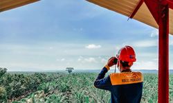 Peduli Krisis Iklim, ANJ Terapkan Inovasi Pertanian Berkelanjutan