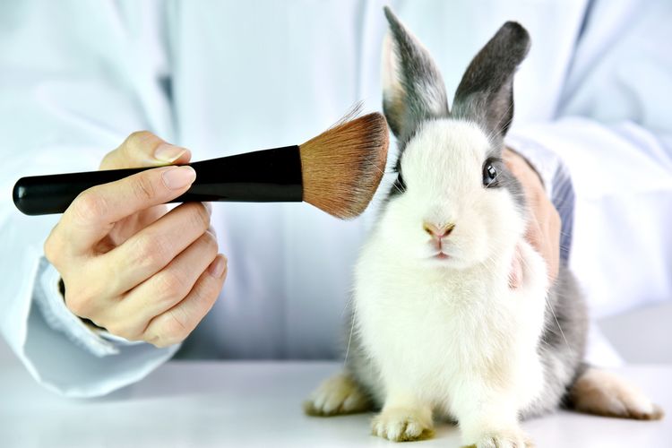 Ilustrasi cruelty free