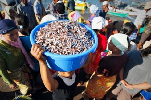 Koperasi Didorong Menjadi Penyelenggara Pelelangan Ikan
