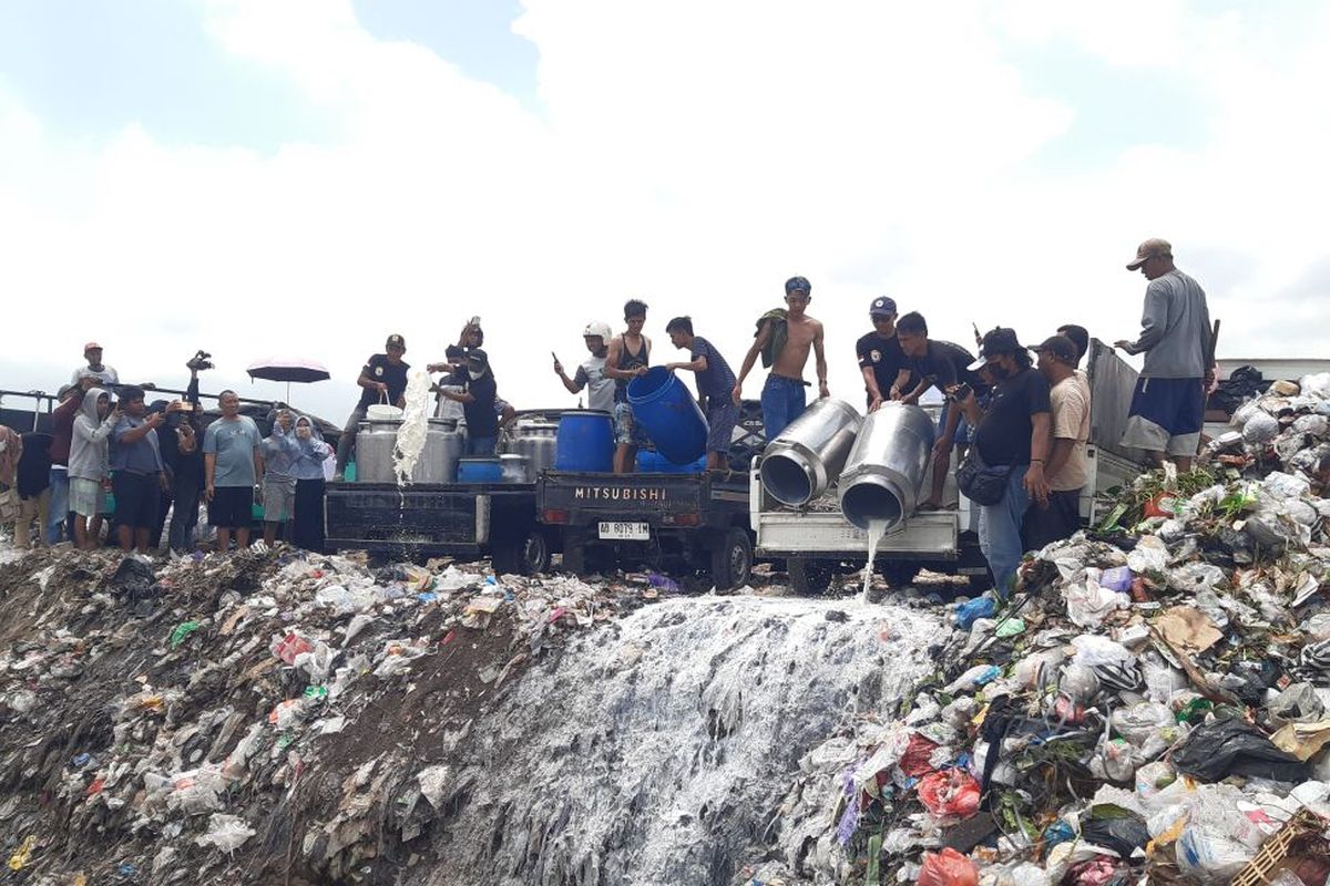 Peternak Boyolali Buang 50.000 Liter Susu di TPA, Apa yang Terjadi?