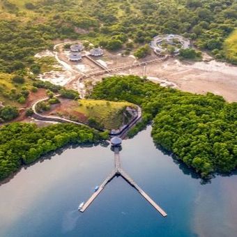 Pulau Rinca di Taman Nasional (TN) Komodo.