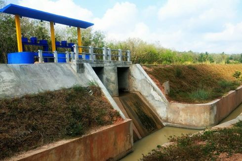 Hendak Bersihkan Saluran Irigasi, Penjaga Pintu Air Bendungan Dikejutkan dengan Temuannya, Ini Ceritanya