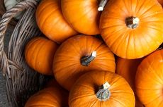 Fakta Menarik Labu Kuning, Buah yang Identik dengan Halloween