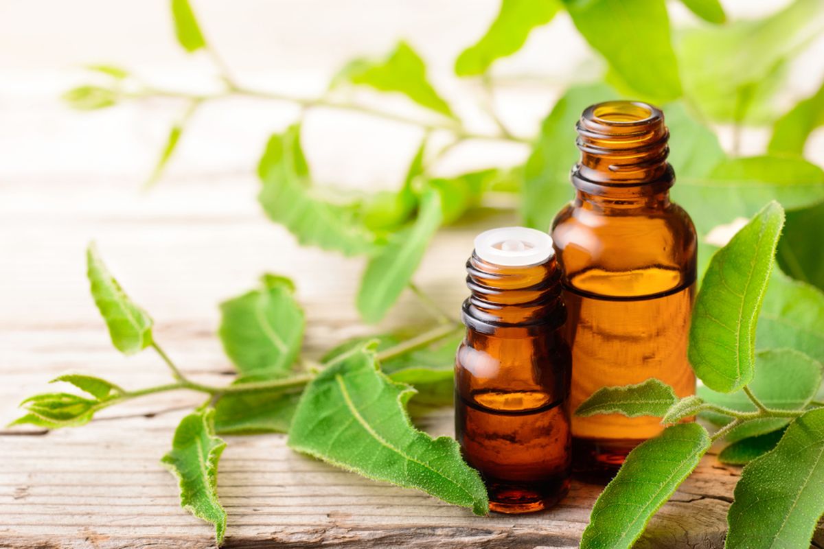 Ilustrasi essentials oil