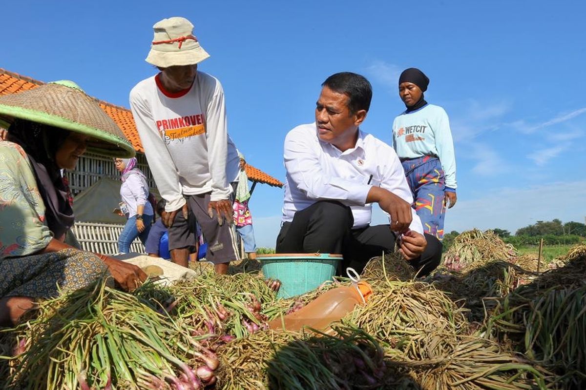 Menteri Pertanian (Mentan) Andi Amran Sulaiman saat mengunjungi petani bawang merah di Kabupaten Brebes, Jawa Tengah, Jumat (29/03/2019)