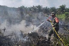 Kabut Asap akibat Kebakaran Hutan dan Lahan Selimuti Pekanbaru