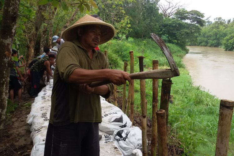 Warga dari 3 dusun terlibat dalam upaya meningkatkan kekuatan tanggul di Dusun Kuncen, Desa Bendungan, Kecamatan Wates, Kulon Progo, Daerah Istimewa Yogyakarta. Mereka mengantisipasi bencana banjir yang sewaktu-waktu bisa terjadi pada musim hujan ini.