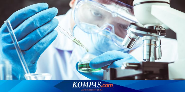 Atasi Covid 19 Bpom Sediakan Lab Dan Rt Pcr Untuk Pengujian Spesimen Atasi Covid 19 Bpom Sediakan Lab Dan Rt Pcr Untuk Pengujian Spesimen