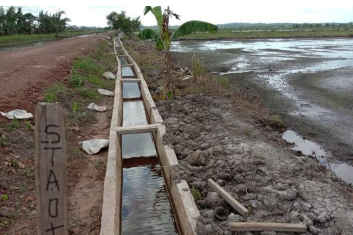 Program RJIT Kementan yang dimanfaatkan untuk membuat saluran irigasi di Kabupaten Bangka Selatan, Provinsi Kepulauan Bangka Belitung, tepatnya Batu Betumpang, Kecamatan Pulau Besar.