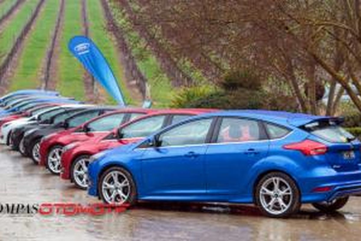 Ford Focus dengan latar belakang perkebunan anggur di Adelaide Hills, South Australia.