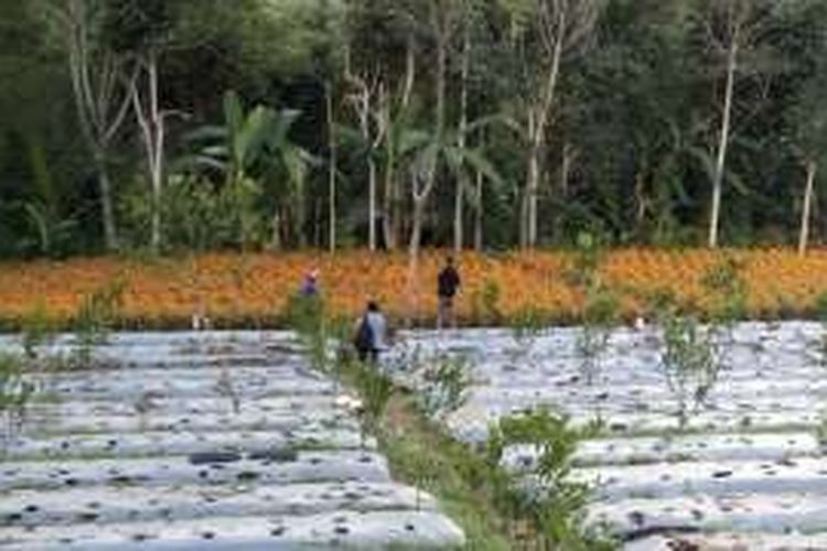 Dusun Jempanang, Desa Belok Sidan, Kecamatan Petang, Kabupaten Badung Bali 