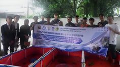 Sinergi Kampus dan Generasi Muda: Bangun Ekonomi Lokal lewat Budidaya Lobster