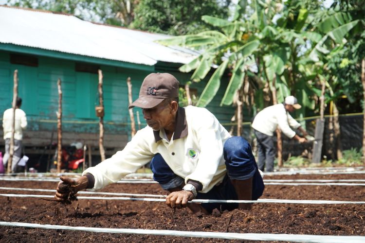 Slah satu petani yang mengikuti SLPG