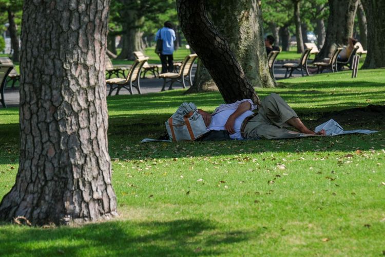 Seorang pria tengah beristirahat di taman sekitar Imperial Palace, Tokyo, (29/06/2022) di tengah gelombang panas. Jepang mengalami suhu ektrem dalam beberapa hari terakhir, dengan beberapa daerah mencapai suhu di atas 40 derajat Celcius.