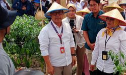 Tingkatkan Kesejahteraan Petani, Pemerintah RI Dorong Program Kerjasama Kemitraan Closed Loop Agribisnis Hortikultura 