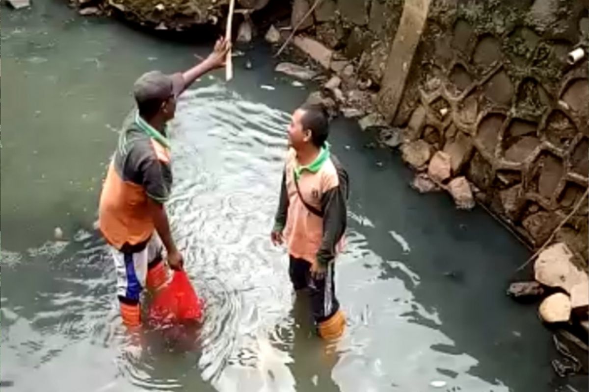 Petugas PPSU temukan mayat bayi di saluran penghubung Cipayung, Jakarta Timur, Senin (14/1/2019)