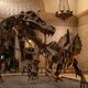 "Jurassic Park" Jadi Nyata, Peneliti Swedia Garap Proyeknya