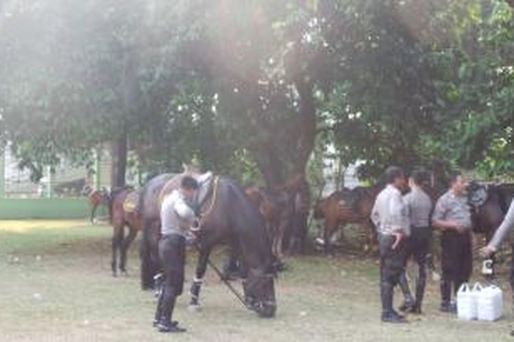 Sebanyak 10 kuda disiagakan sebagai bagian pengamanan di Kompleks Parlemen, Senayan, Jakarta, menjelang pelantikan anggota DPR 2014-2019, Rabu (1/10/2014). 