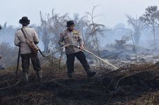 Sudah 50 Hektar Lahan Gambut di Indragiri Hulu Riau Terbakar