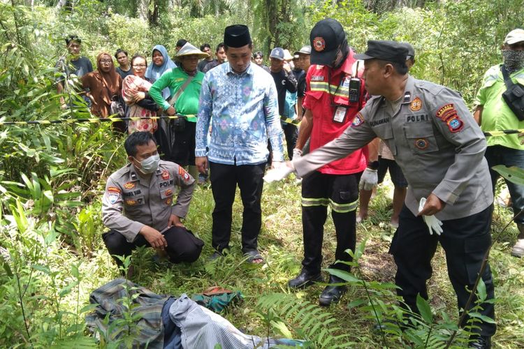 Hilang 8 Hari, Lansia di Tanah Bumbu Kalsel Ditemukan Tewas di Perkebunan Sawit
