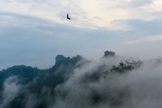 Berburu Samudera Kabut di Atap Perbukitan Menoreh