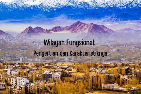 Wilayah Fungsional: Pengertian dan Karakteristiknya