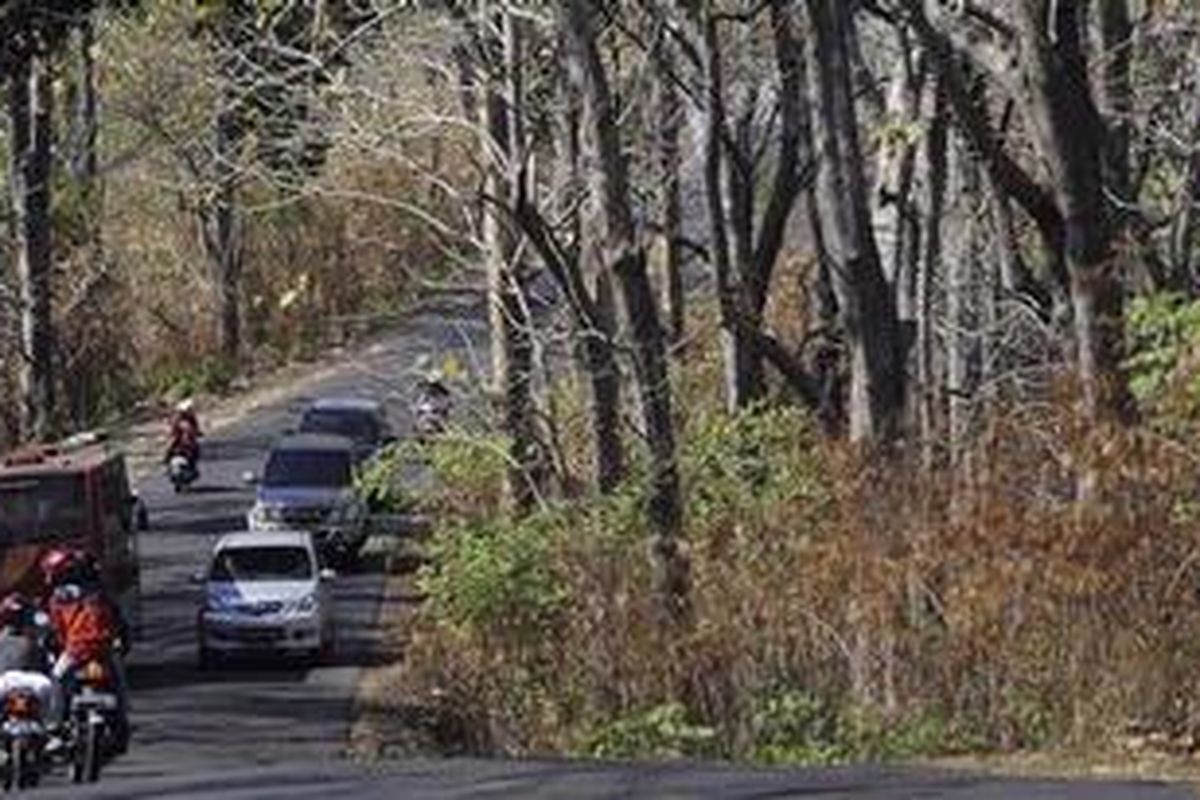 Pemudik memanfaatkan jalur alternatif seperti saat melintasi Kecamatan Kaliwungu, Kabupaten Kendal, Jawa Tengah menuju jalur pantai utara, Rabu (22/8/2012). Pemudik memanfaatkan jalur-jalur alternatif untuk menghindari kepadatan lalu-lintas sekaligus melewati suasana baru yang tidak menjenuhkan selama perjalanan arus balik. 