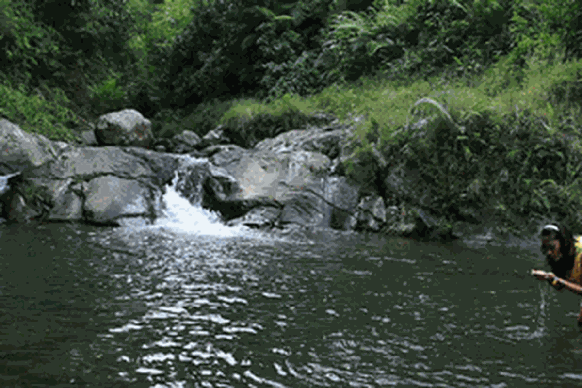 Di Vila Sekar Gemati, Sukabumi, Anda bisa menikmati sore yang menyatu dengan alam.