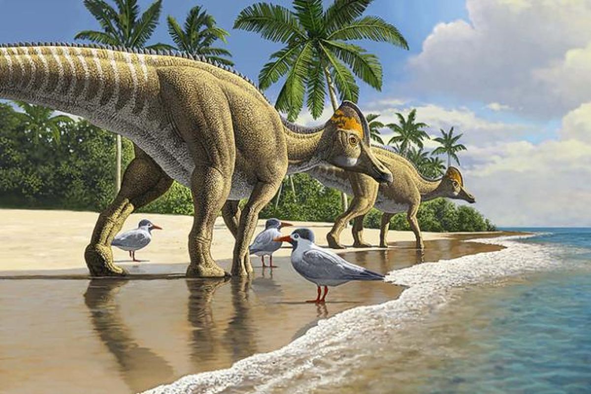 Evolusi Ajnabia odysseus (dinosaurus berparuh bebek) bermula di Amerika Utara, sebelum menyebar ke Asia, Eropa, dan kemudian Afrika.
