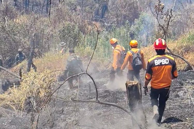 Kebakaran Bromo Meluas ke Lumajang, Blok Metigi Renteng dan Bantengan Terdampak