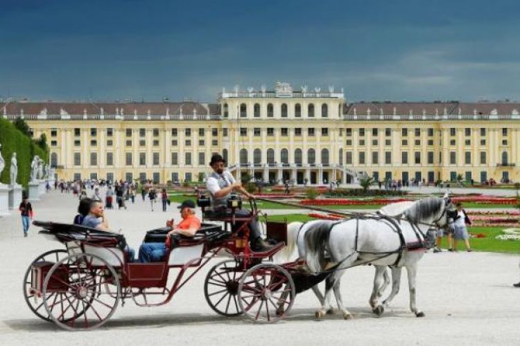 Sebuah kereta kuda mengangkut turis melintas di depan Istana Schoenberg, Vienna, Austria.