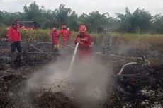 2 Hektar Lahan Gambut Milik Polda Riau di Kampar Terbakar
