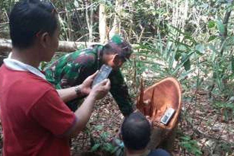 Foto dokumen Badan Pengelola HLSW. Pohon-pohon diameter 50 Cm dipotong serampangan. 