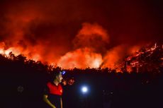 Hari Ke-7 Kebakaran Hutan Turki, Pembangkit Listrik Terancam Kobaran Api Tak Terkendali