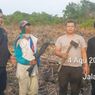 Buka Lahan dengan Cara Dibakar, 2 Petani Ditangkap Polisi di Rokan Hilir Riau