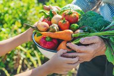 Hindari, Ini 5 Kesalahan yang Dilakukan Saat Berkebun Sayur