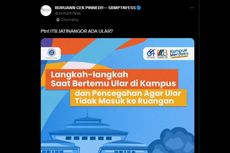 ITB Keluarkan Konten Cara Menghadapi Ular di Kampus, Apa Isinya?