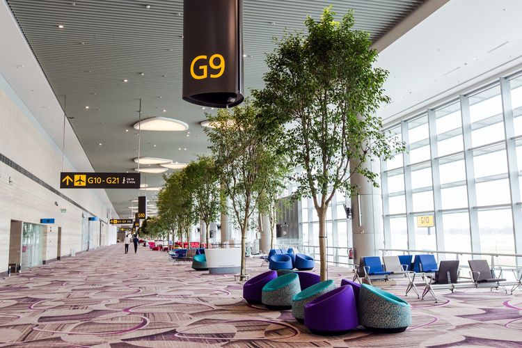 Turis Keluhkan Pemeriksaan Keamanan dan Karpet di Bandara Changi Singapura