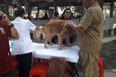 Saran Komunitas Pecinta Hewan soal Penanganan Hewan Liar di DKI