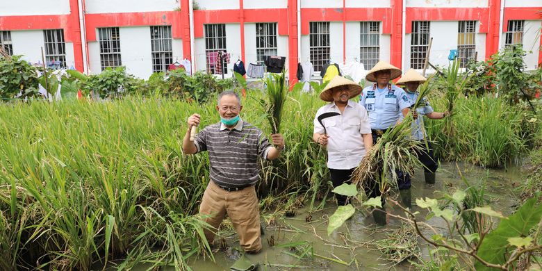 tampak mantan walikota Bandung Dada Rosada, Ketua DPR RI Setyanovanto tengah berfoto bersama setelah memanen padi pada acara panen raya perdana pos kerja pertanian yang merupakan program binaan Lapas Sukamiskin.