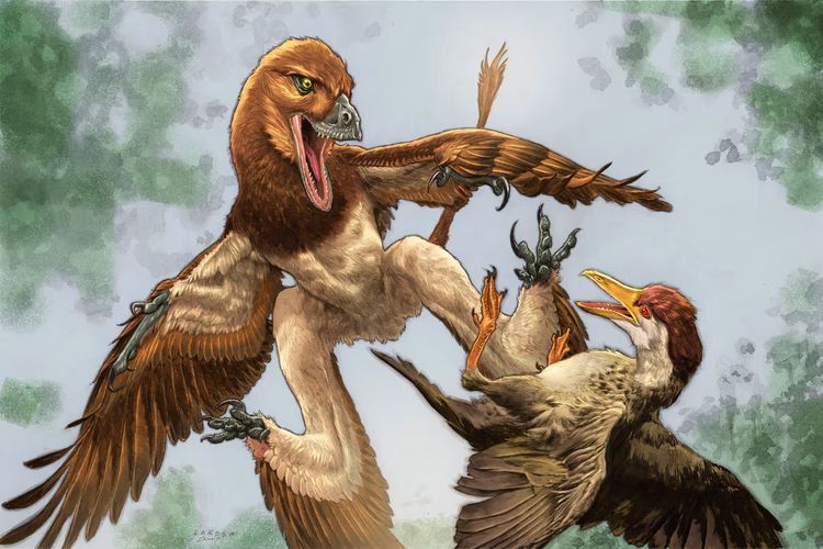 Mirip Bajing Terbang, Dinosaurus Ini Suka Memangsa Burung Sejak 120 Juta Tahun Lalu