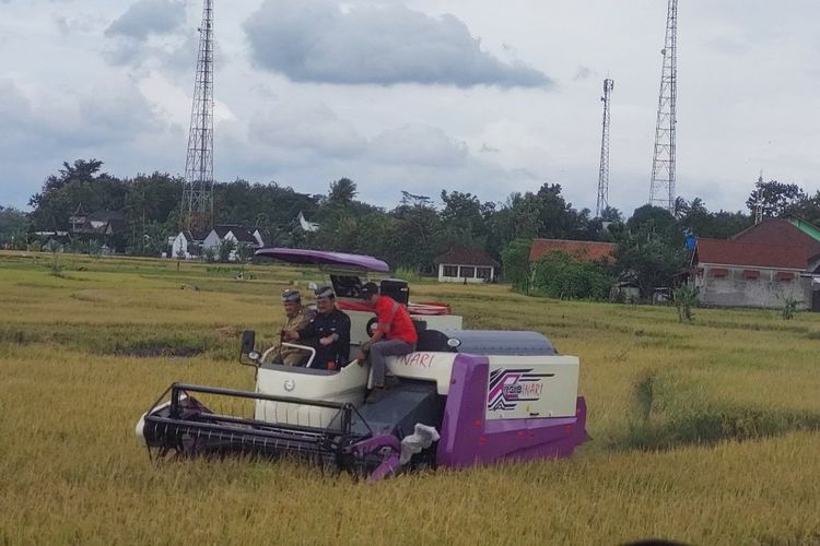 Menteri Pertanian Syahrul Yasin Limpo dan Bupati Semarang Ngesti Nugraha melakukan panen panen padi di Desa Boto Kecamatan Bancak