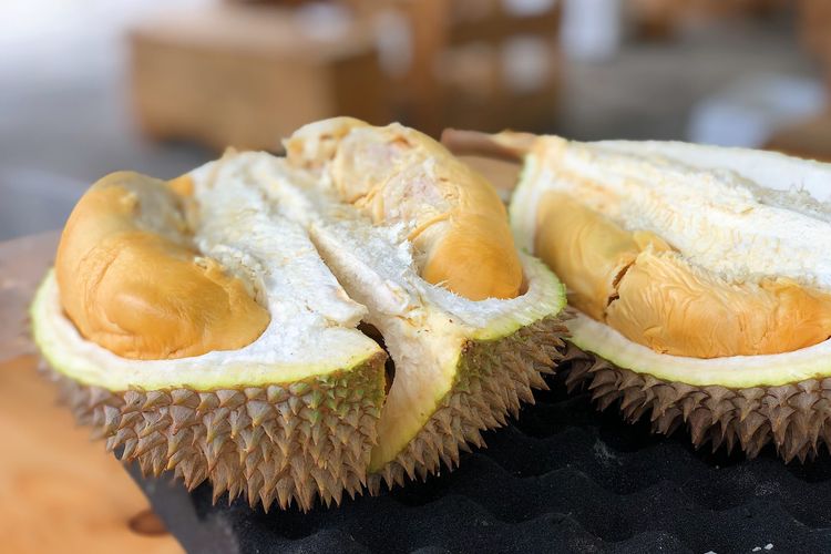 Ilustrasi durian, buah durian, tips memilih durian.