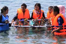 Siswi Banyuwangi Tanam Rumah Terumbu Karang di Selat Bali