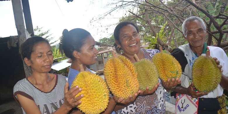 Download 99+ Gambar Durian Raksasa Terbaik 