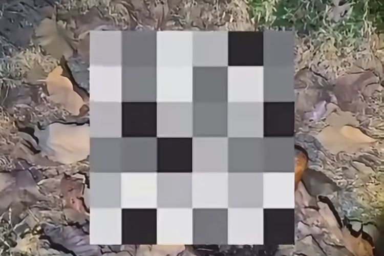 Mayat Membusuk di Hutan TN Baluran Situbondo, Polisi: Tidak Ada Kekerasan