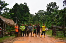 Durian Musang King dan Kisah Perjuangan "Orang Asli" Melindungi Tanah Kelahiran