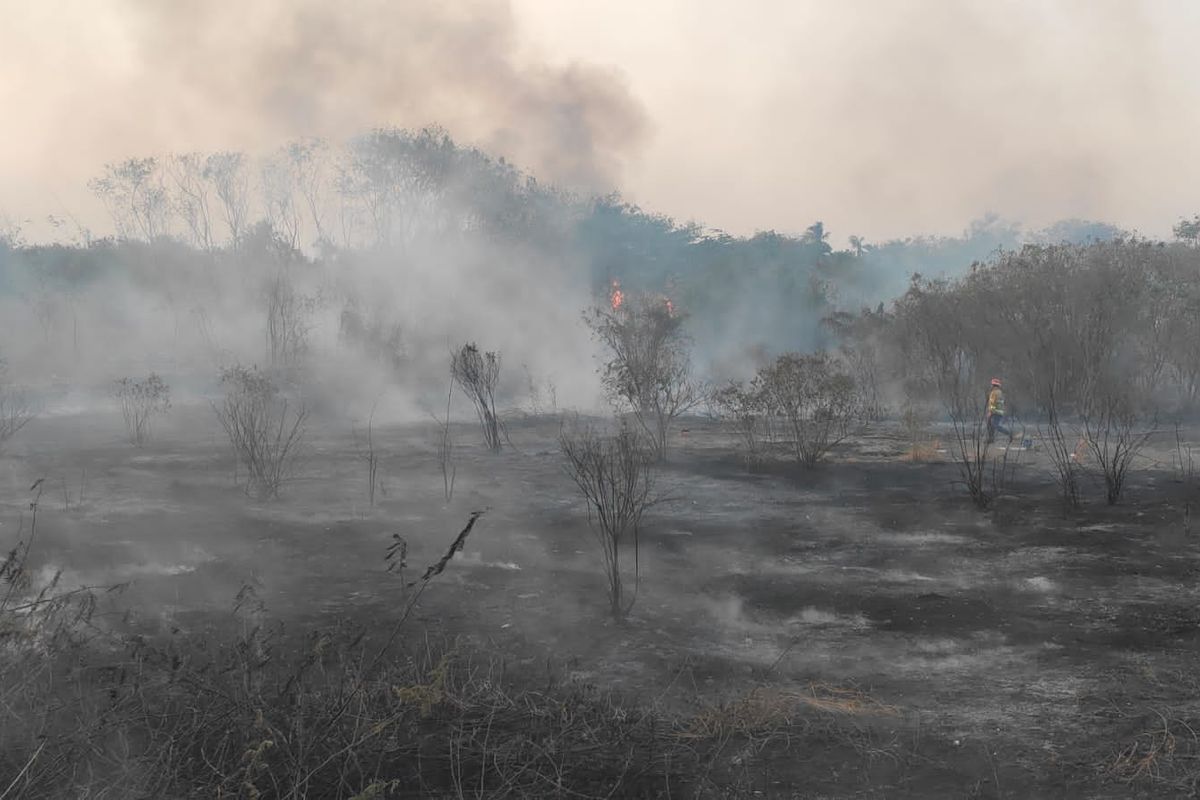 Kebakaran terjadi di sebuah lahan kosong tepat di belakang kampus Universitas Bhayangkara Bekasi, Kota Bekasi, Senin (25/9/2023) petang. Lahan kosong yang dominasi alang-alang kering itu terletak di Jalan Raya Perjuangan, Marga Mulya, Kecamatan Bekasi Utara, Kota Bekasi.